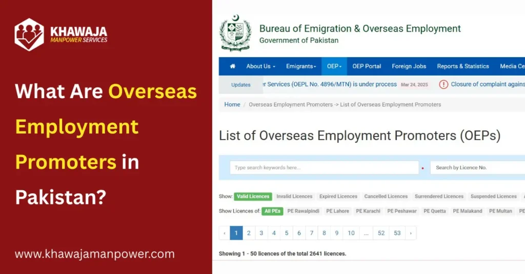 What Are Overseas Employment Promoters in Pakistan? Everything You Need to Know